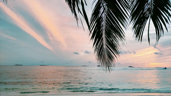 Comment choisir une croisière pour visiter les plantations de café en Colombie?